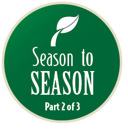 Season to Season Logo