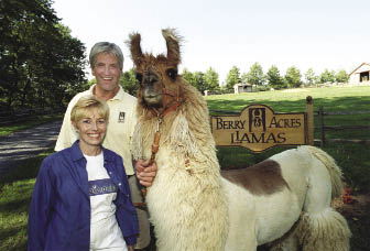 Until recently, Dan and Dale Goodyear were among the largest llama breeders in the U.S. for nearly 20 years. “At the center of all this is the fact that we just fell in love with llamas, with their temperament and their serenity. They’re very quiet, beautiful animals that enhanced our lives,” says Dale.