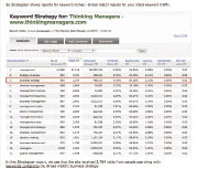 Keyword Strategy Planning screenshot