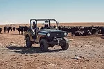 Mahindra Launches Roxor SXS