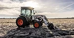 RLD Bobcat New product image.png