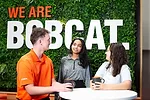 Bobcat July News 2025.jpeg