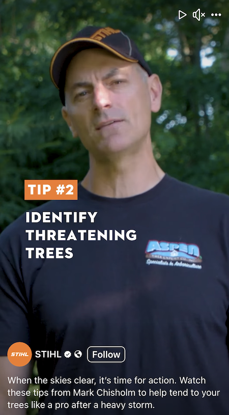 Mark-Chisholm-stihl-tips.png