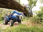 WORKMASTER 40C tree removal.jpg