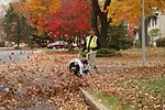 Ariens Co. OPE.JPG