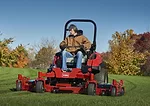 Toro_toro2
