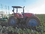 Massey Ferguson High Clearance Utility Tractor