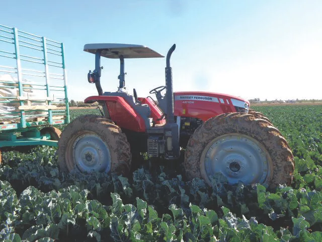 Massey Ferguson High Clearance Utility Tractor