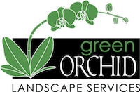 Green Orchid Logo
