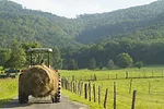 RLD Rural Lifestyler Gary Ellis Hay