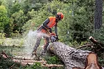 Husqvarna chainsaw