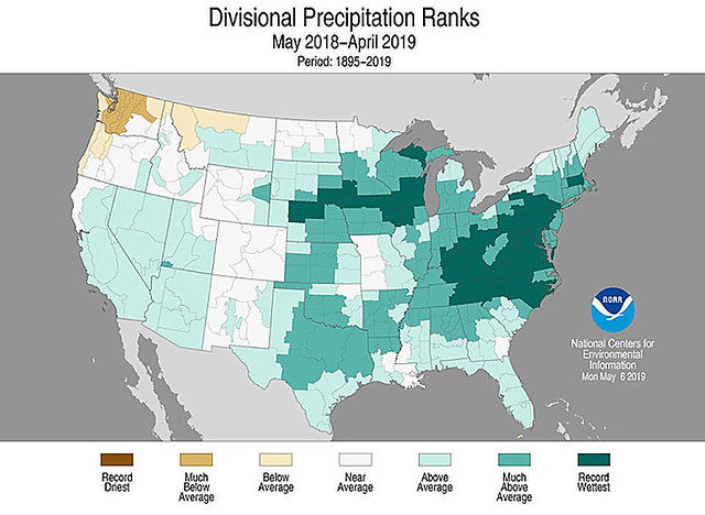 Divisional Precipitation Ranks