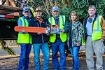 Stihl Christmas Tree