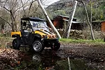 Cub Cadet cart