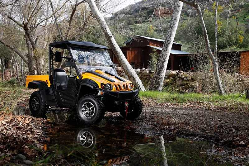Cub Cadet cart