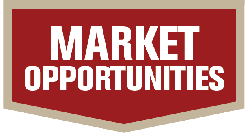 Market-Opp.png