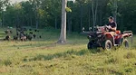 Josh Draper cattle farm